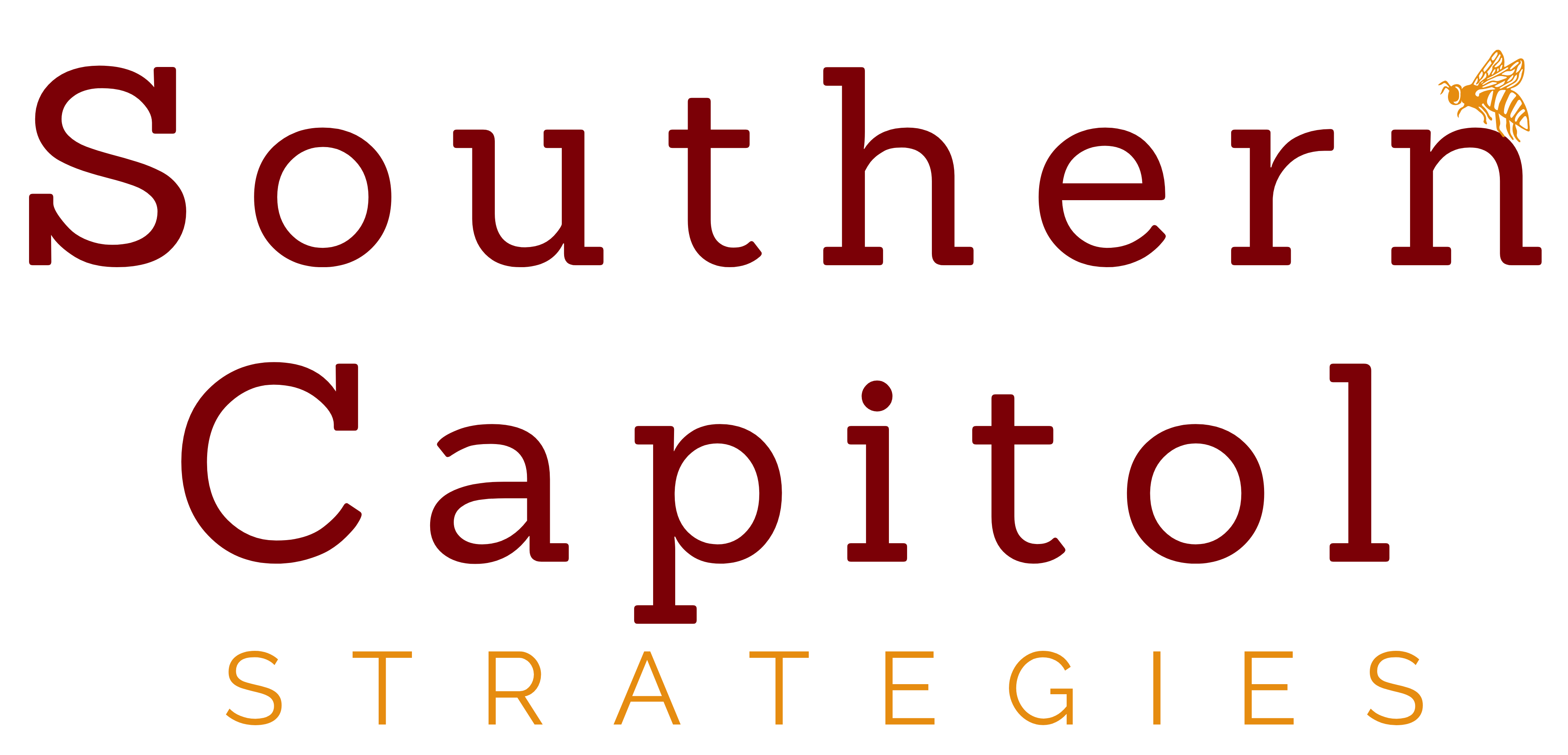 Southern Strategies Portal